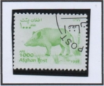 Stamps Afghanistan -  Cerdo