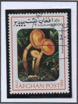 Stamps Afghanistan -  Kuehneromy mutabillis