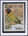 Stamps Afghanistan -  Loros : Agapornis personatus