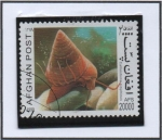 Stamps Afghanistan -  Moluscos : Calliostoma ziziphinus