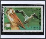 Stamps Afghanistan -  Pelacanus onocrotalus