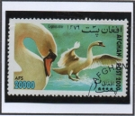 Stamps Afghanistan -  Cygnus olor