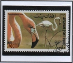 Stamps Afghanistan -  Phoenicopterus ruber