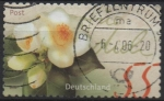 Stamps Germany -  Camelia