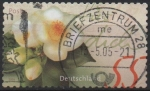 Stamps Germany -  Camelia