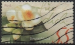 Stamps Germany -  Camelia