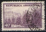 Sellos de America - Argentina -  Caña d' azucar