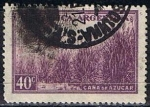 Stamps Argentina -  Caña d' azucar