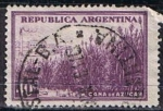 Sellos de Europa - Argentina -  Caña d' Azucar