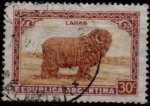 Stamps Argentina -  Merino