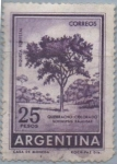 Sellos de America - Argentina -  Arbol Rojo Quebracho