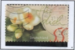 Stamps Germany -  Camelia