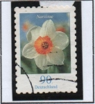 Stamps Germany -  Narciso