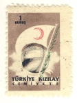 Stamps Asia - Turkey -  bandera media luna roja