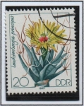 Stamps Germany -  Cactus: Principis Leuchtenbergia