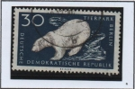 Stamps Germany -  Oso Polar