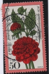 Stamps Germany -  Dalia Pompon