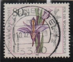 Stamps Germany -  Limodoro Violeta