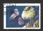 Stamps Russia -  4361 - L Aniversario de la Reserva Natural de Stolby