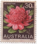 Stamps Australia -  Flores Salvajes. Waratah