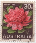 Sellos de Oceania - Australia -  Flores Salvajes. Waratah