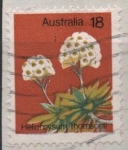 Stamps Australia -  Helicriso Thomsoni