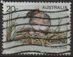 Stamps Australia -  pajaros: Zampullin Chico