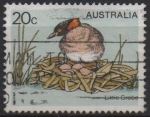 Stamps Australia -  pajaros: Zampullin Chico