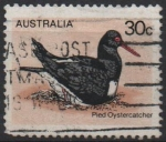 Stamps Australia -  pajaros: Ostrero Pied