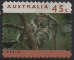 Sellos de Oceania - Australia -  Koala