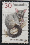 Stamps Australia -  Zarigüeya Australiana