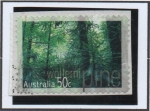 Stamps Australia -  Wollemi Pine