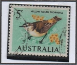 Stamps Australia -  Thorbil cola amarilla