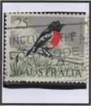 Stamps Australia -  Escarlet  Robin