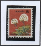 Stamps Australia -  Helicriso Thomsoni