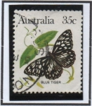 Stamps Australia -  Mariposas. Tigre Azul