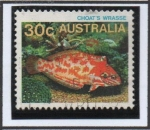 Stamps Australia -  Pez d' Choat