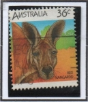 Stamps Australia -  Canguro