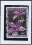 Stamps Australia -  Elythranthera Emarginata