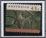 Stamps Australia -  Koala en Arbol