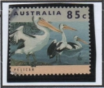 Stamps Australia -  Pelícano Amarillo