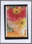 Stamps Australia -  Amapolas