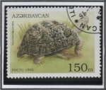 Sellos de Asia - Azerbaiy�n -  Tortugas: Geochelone