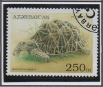 Sellos de Asia - Azerbaiy�n -  Tortugas: Geochelone Elegat