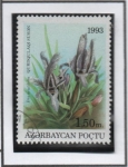 Stamps Azerbaijan -  Iris acutlioba