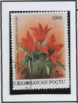 Stamps Azerbaijan -  Tulipanes