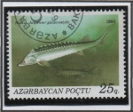 Stamps Azerbaijan -  Peces: Acipenser