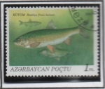 Stamps Azerbaijan -  Peces: Rutilus Frisil