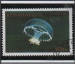 Stamps Azerbaijan -  Orchistoma Pileus