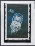 Stamps Azerbaijan -  Polyorchis